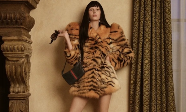 财报速递 | 开云止血 财报速递 | 开云止血